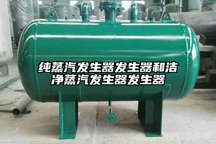 纯蒸汽发生器发生器和洁净蒸汽发生器发生器