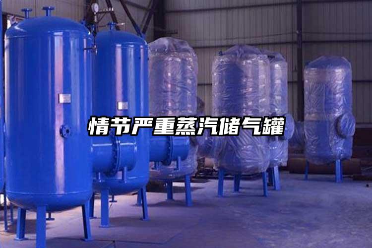 情节严重蒸汽储气罐