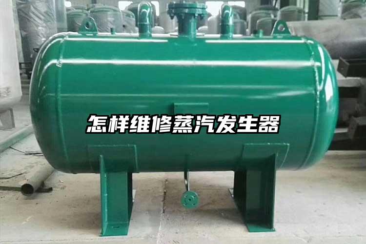 怎样维修蒸汽发生器
