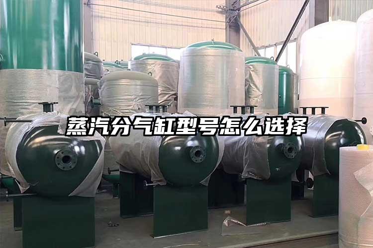 蒸汽分气缸型号怎么选择