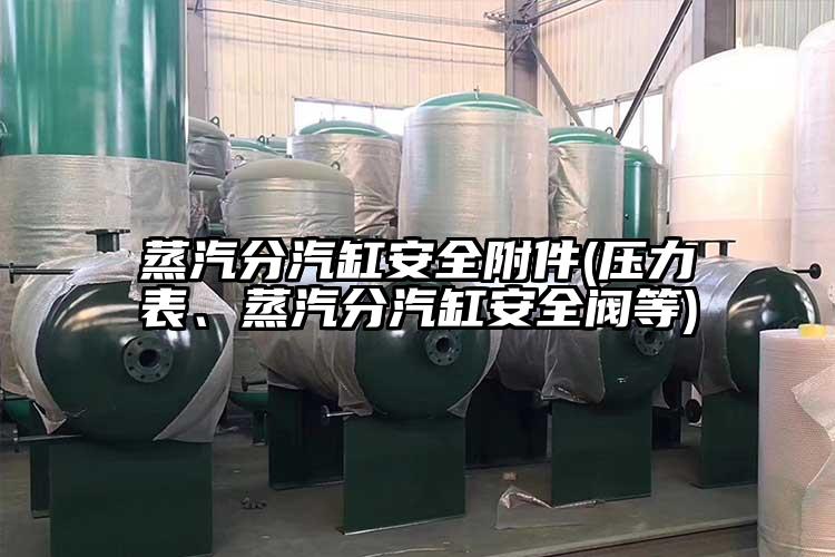 蒸汽分汽缸安全附件(压力表、蒸汽分汽缸安全阀等)