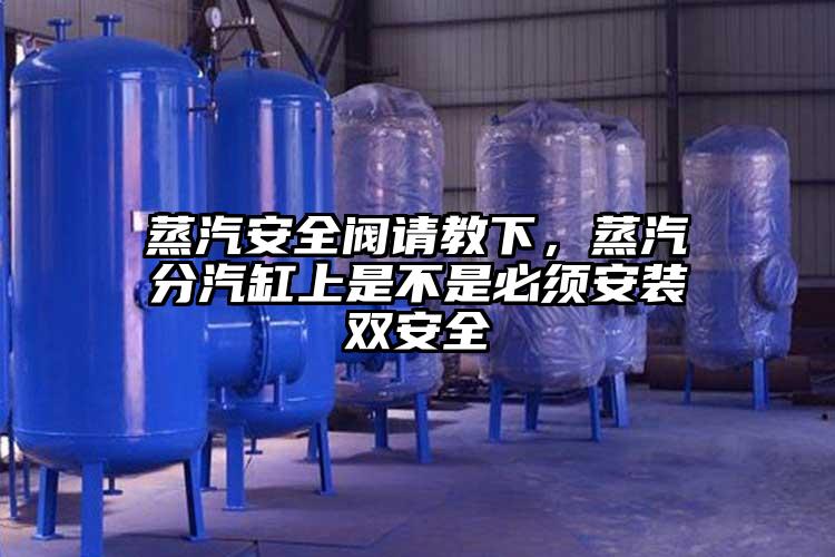 蒸汽安全阀请教下，蒸汽分汽缸上是不是必须安装双安全
